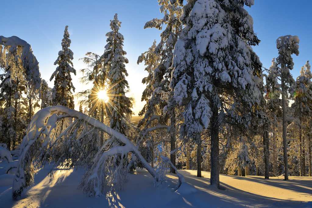 FINNLAND | Das NATURBLICK-Polarnacht-Abenteuer im hohen Norden